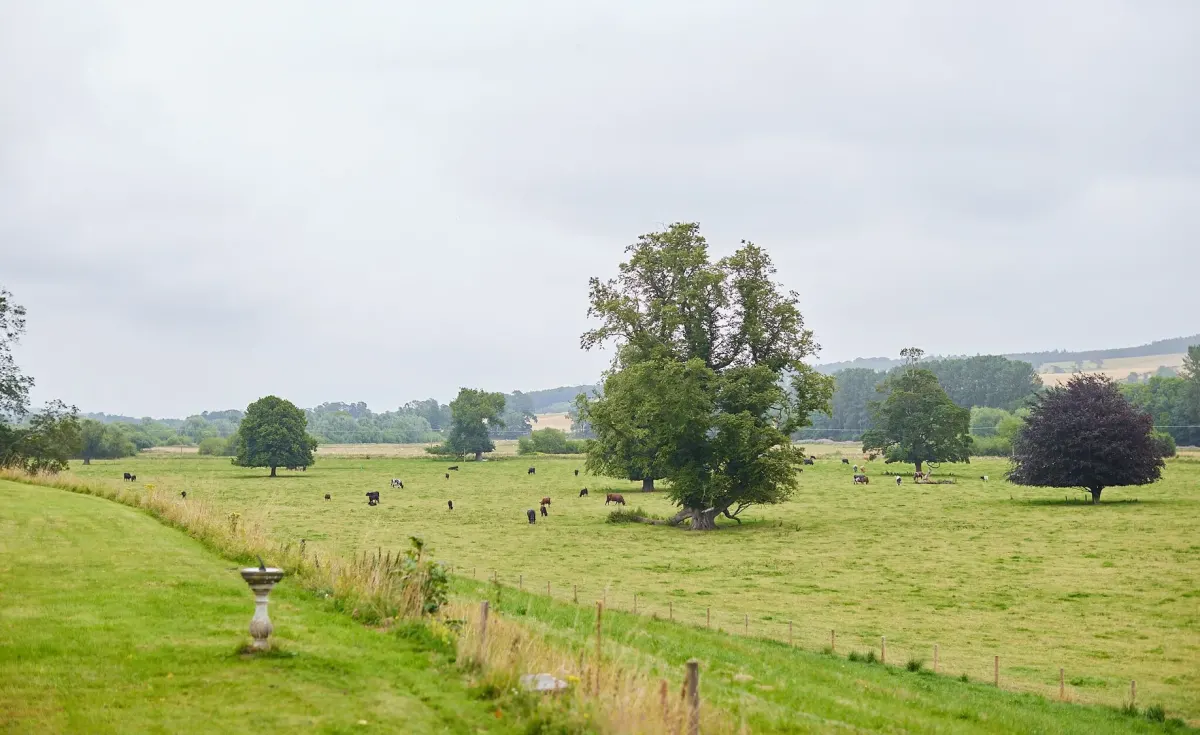 Open parkland at Chesters near Jedburgh, about three hours north of York by car