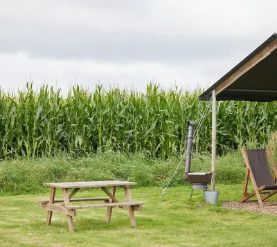 College Farm photo 2