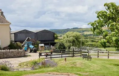 East Shilvinghampton Farm photo 5
