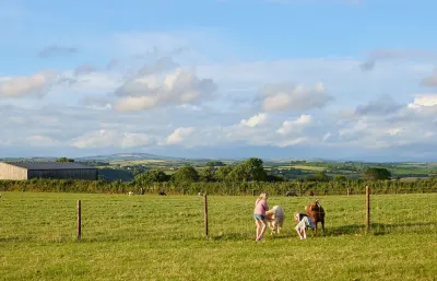 Gwel Teg Farm photo 4