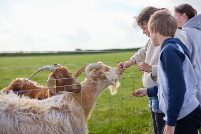 Gwel Teg Farm
