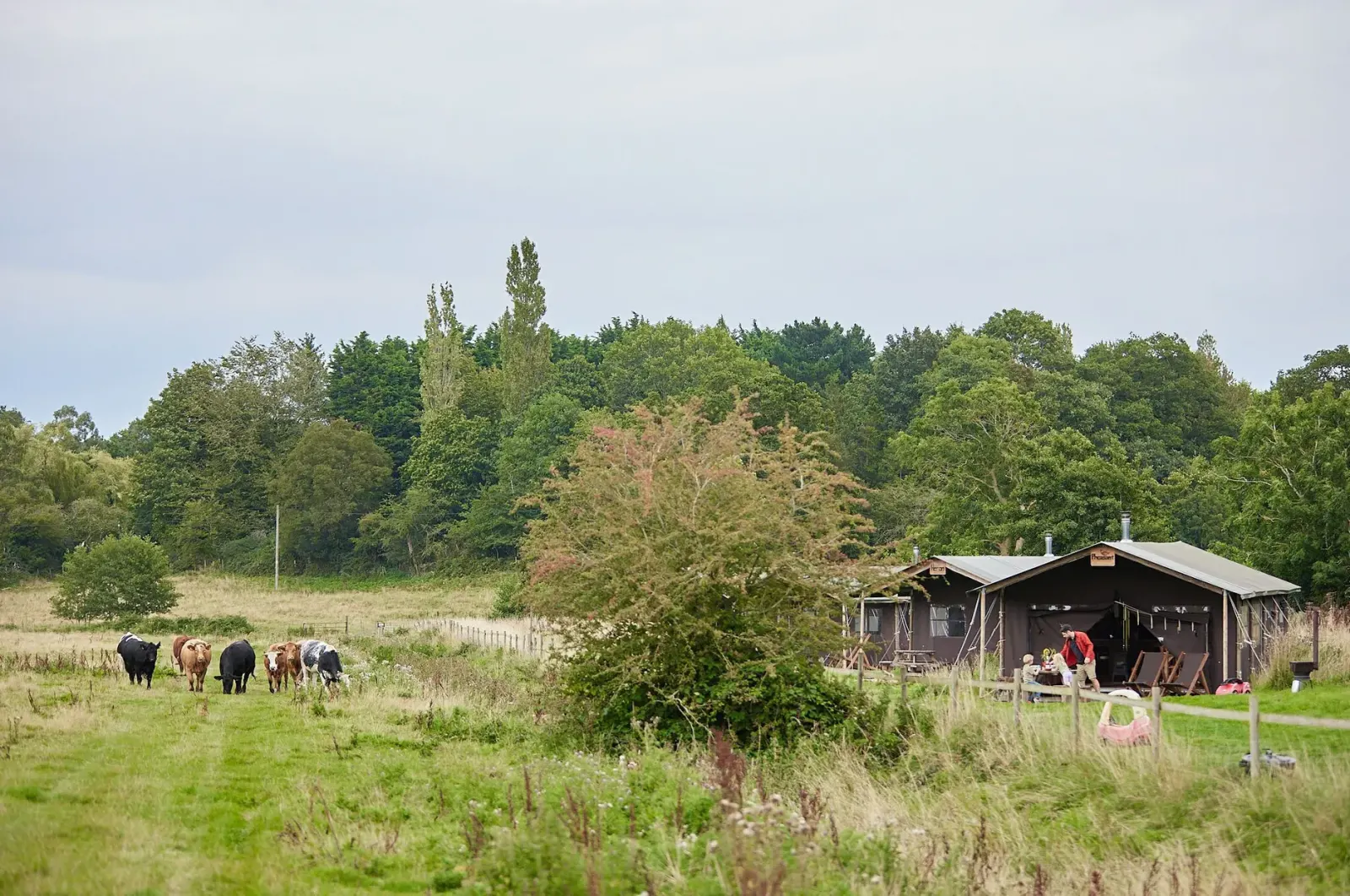 Canvas lodges at Heydon Grove Farm