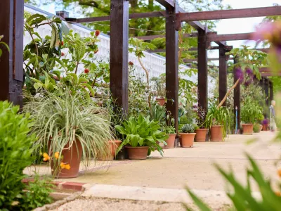 Hidcote Manor Farm