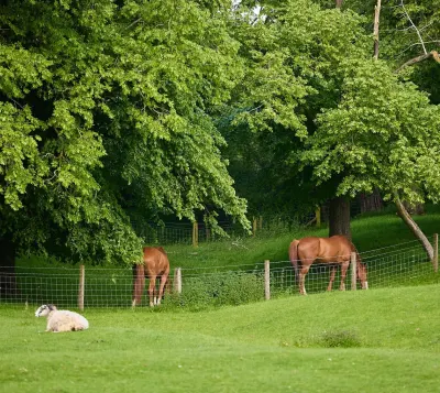 Hidcote Manor Farm photo 3