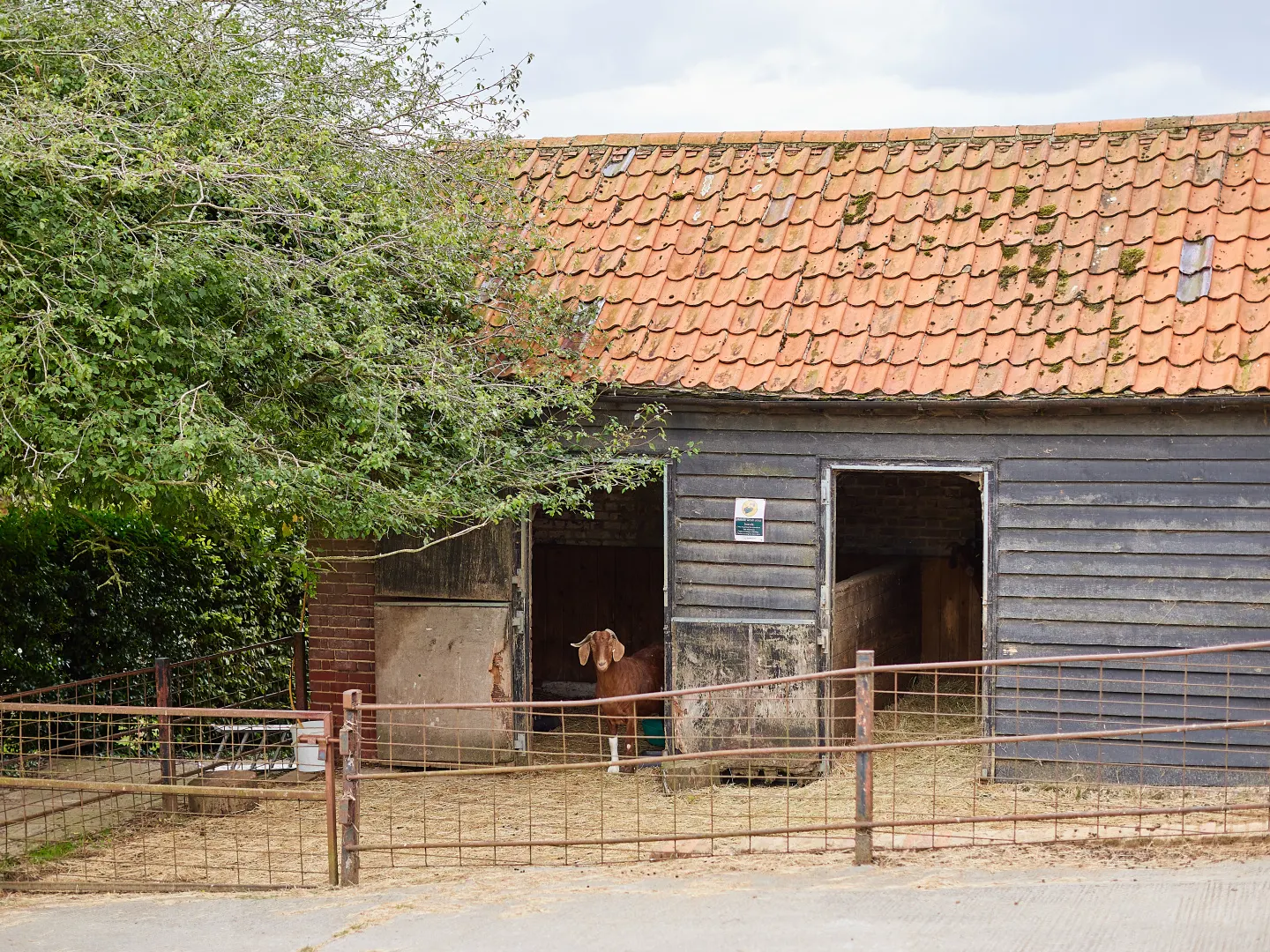 Canvas lodges at Layer Marney Tower
