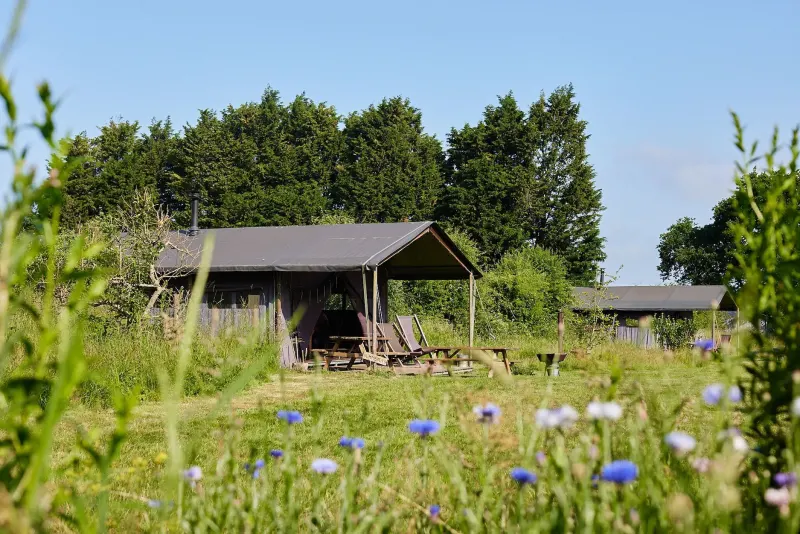 Manor Farm photo 1