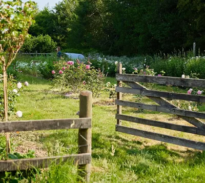 Manor Farm photo 3