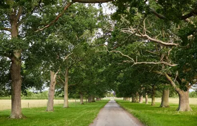 Moor Farm photo 4