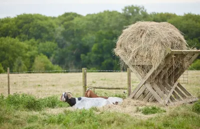 New Barn Farm photo 5