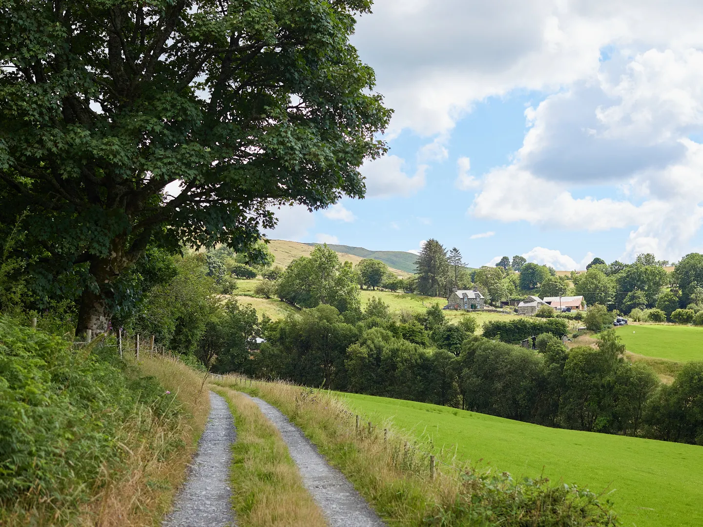 Canvas lodges at Pant y March