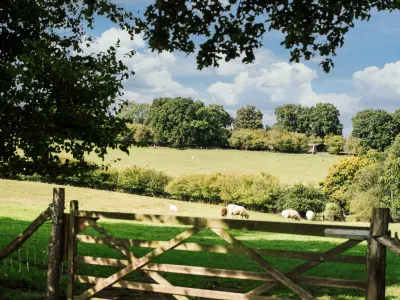 Sunninglye Farm