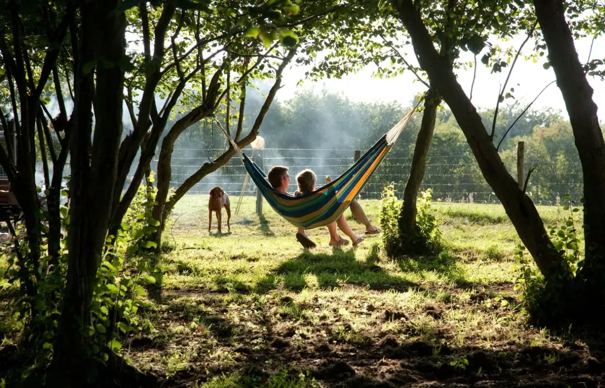 A parent and child in a hammock among the trees beside the canvas lodges, with the family pet nearby