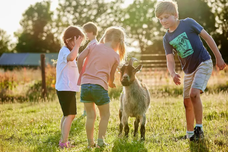 Warren Farm photo 1